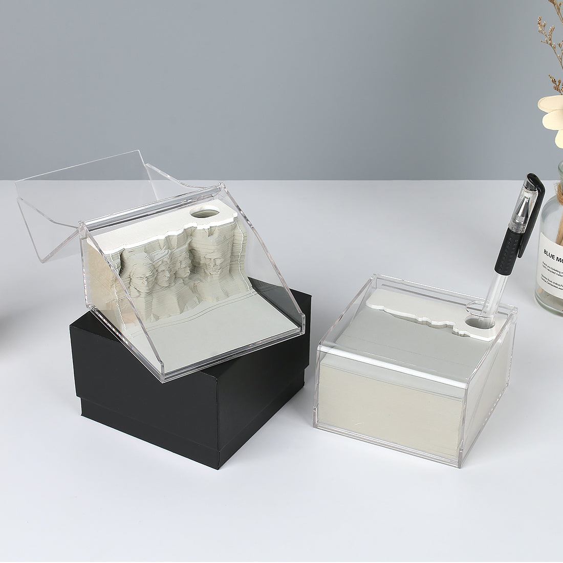 Mount Rushmore 3D Memo Pad