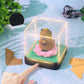 Capybara Animal 3D Model Hand Torn Memo Pad With Daily Calendar 2026