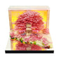 Flowers and Tree 3d memo pad