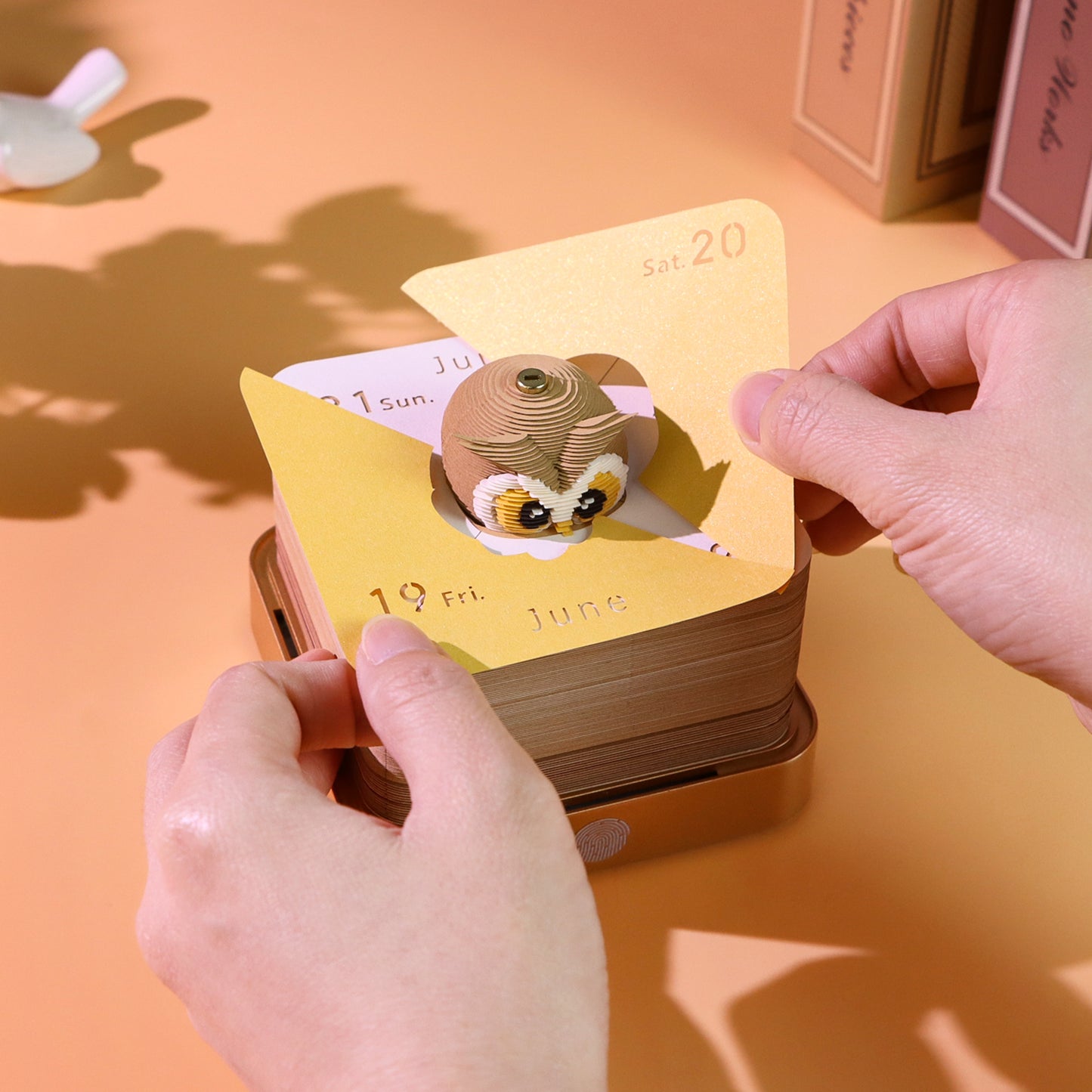 Panoramic Magic Eagle OWL 3D Paper Sculpture Calendar Memo Pad With Light