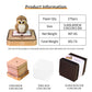Panoramic Magic Eagle OWL 3D Paper Sculpture Calendar Memo Pad With Light
