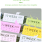 2025 Tree House 3d memo pads