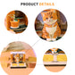 Orange Cat Pet Miniature Hand Tear off 3D Calendar Memo Pad With Light