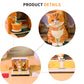 Cute Orange Cat Hand Tear off 3D Calendar Memo Pad With Ligh