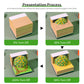 Osmanthus Tree 3D Calendar Memo Pad With Light
