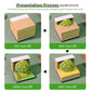 DAWNVIVE 3D Osmanthus Tree Model Hand Tear off 3D Memo Pad with Light