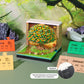 Osmanthus Tree 3D Calendar Memo Pad With Light